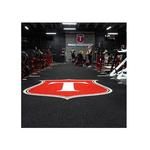 Tysons Playground Fitness & Performance Center - photo 2