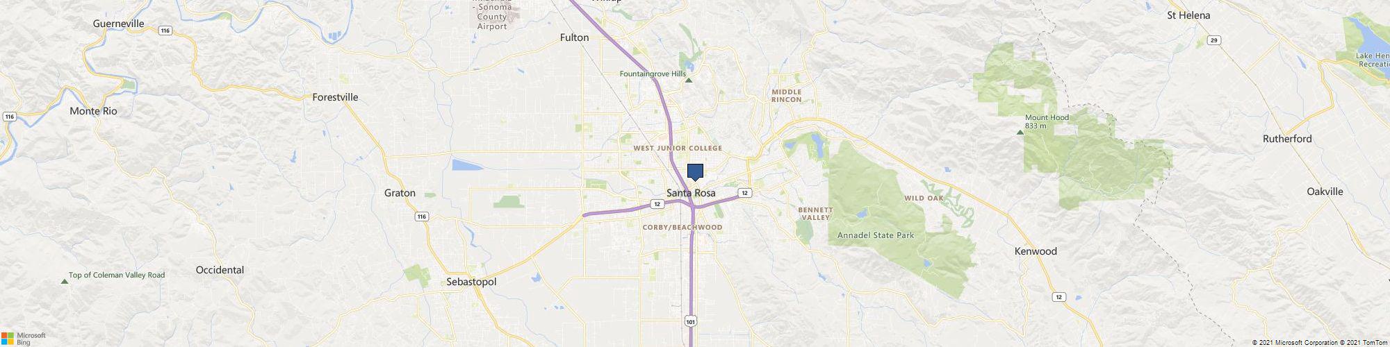 Adamson Painting cover photo