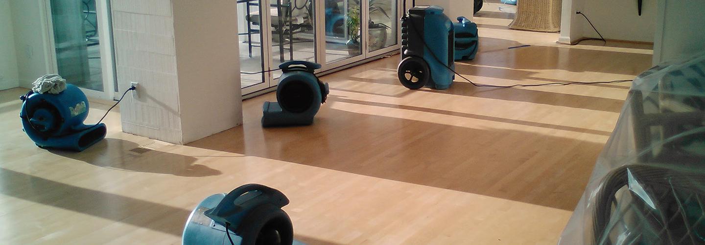 Flood Damage Restoration Canberra cover photo