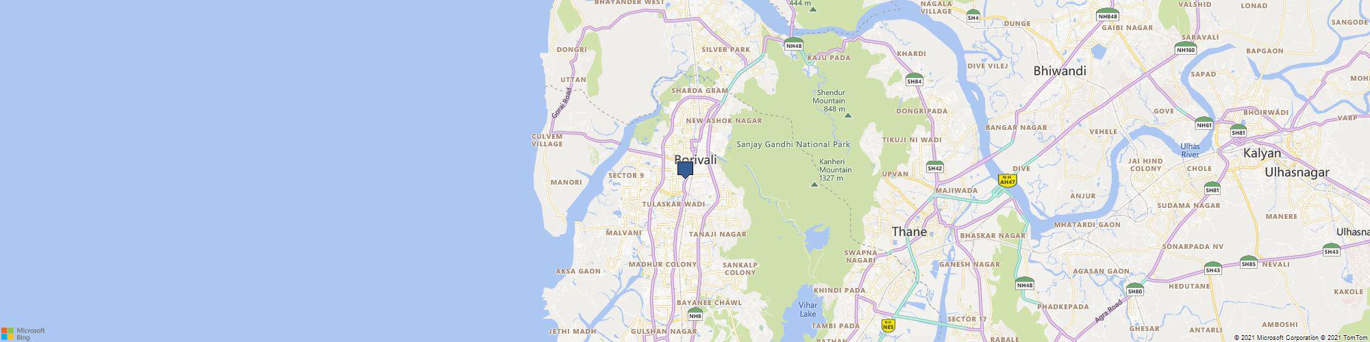 Jungle Trail cover photo