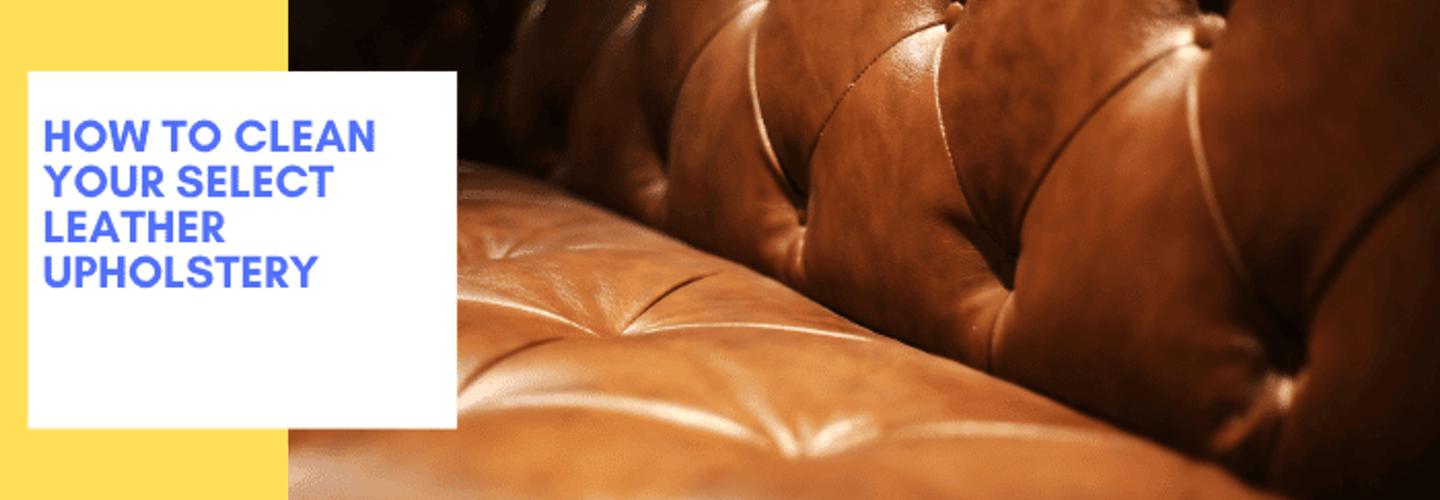 Couch Cleaning Wollongong cover photo