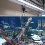 Pure LED Lighting Inc - photo 6