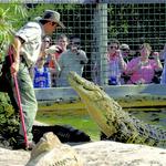 Five Star Orlando VIP Tours - photo 2