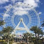 Five Star Orlando VIP Tours - photo 3