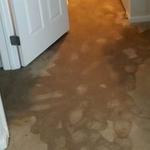 Flood Damage Restoration Penrith - photo 1