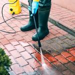 Renew Crew of NW Wisconsin - photo 1