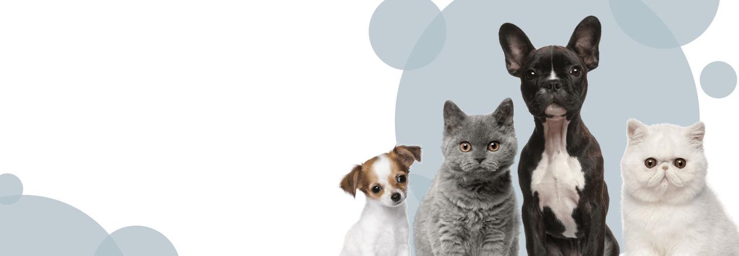 Ozpetsupply cover photo