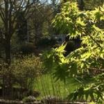 Andover Arborists - photo 1