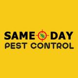 Local Pest Control Adelaide