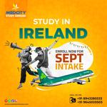 Medcity Study Abroad - photo 3