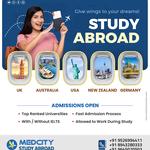 Medcity Study Abroad - photo 7