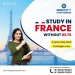 Medcity Study Abroad - photo 8