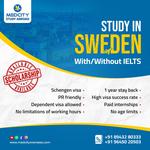 Medcity Study Abroad - photo 10