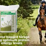 HorseHage - photo 2