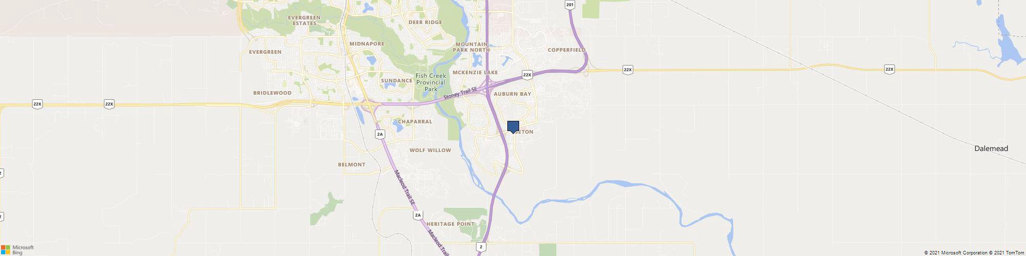 Seton Dental Wellness cover photo