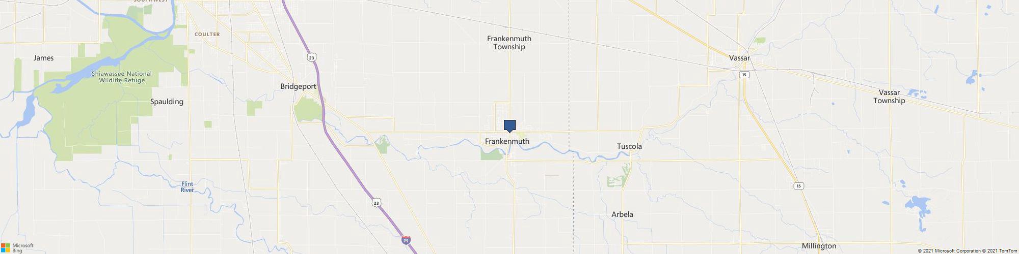 Lazy Dog Pizza cover photo