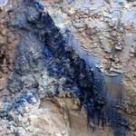 Sydneyenvironmental - photo 2