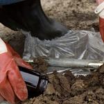 Sydneyenvironmental - photo 3