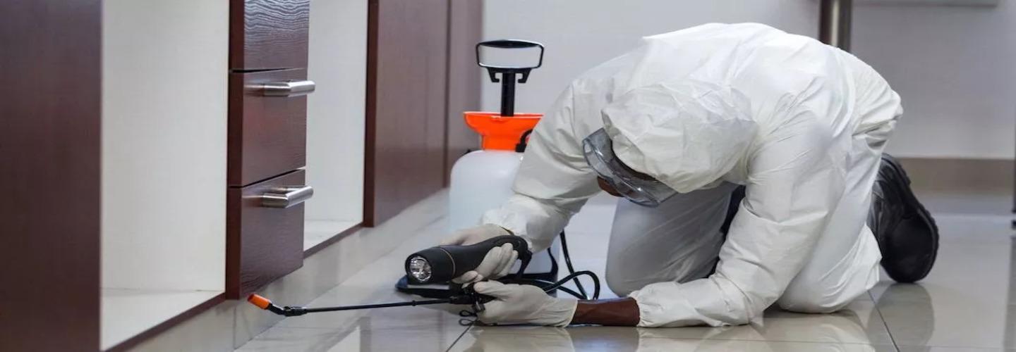 Termite Control Logan cover photo