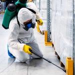 Termite Control Logan - photo 2