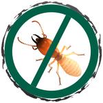 Termite Control Logan - photo 3