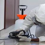 Termite Control Logan - photo 4