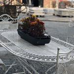 South Planks - photo 1