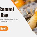 Termite Control Moreton Bay - photo 4