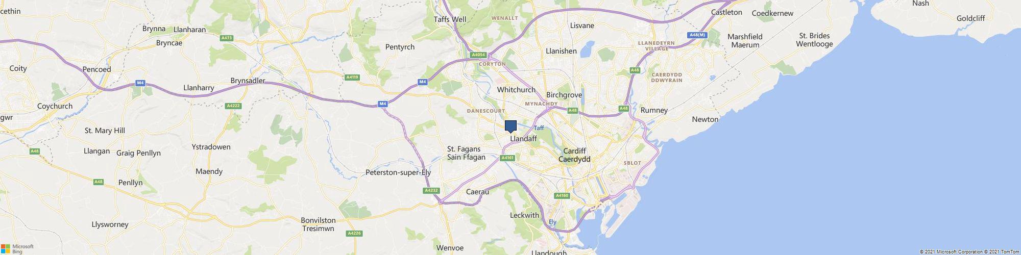 Miss Squiggles cover photo