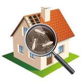 Pest Control Adelaide