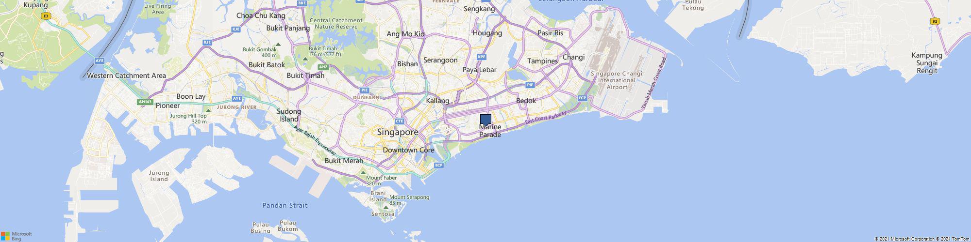 Clubpets cover photo