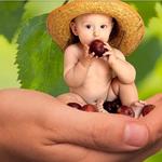 Electroceutical Therapy - photo 4