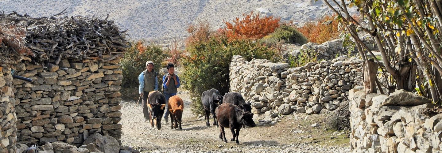 Himalayan Adventure Intl Treks Pltd cover photo