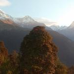Himalayan Adventure Intl Treks Pltd - photo 10