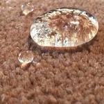 Carpet Cleaning Sydney - photo 2