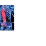 Pensacola Physical Medicine, Inc. - photo 3