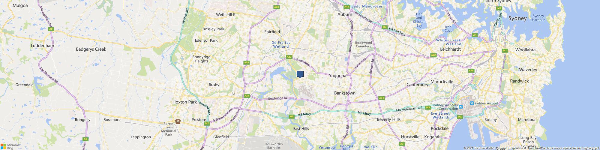 Busy Bees at Georges Hall cover photo