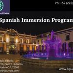 Spanish Institute of Puebla - photo 4