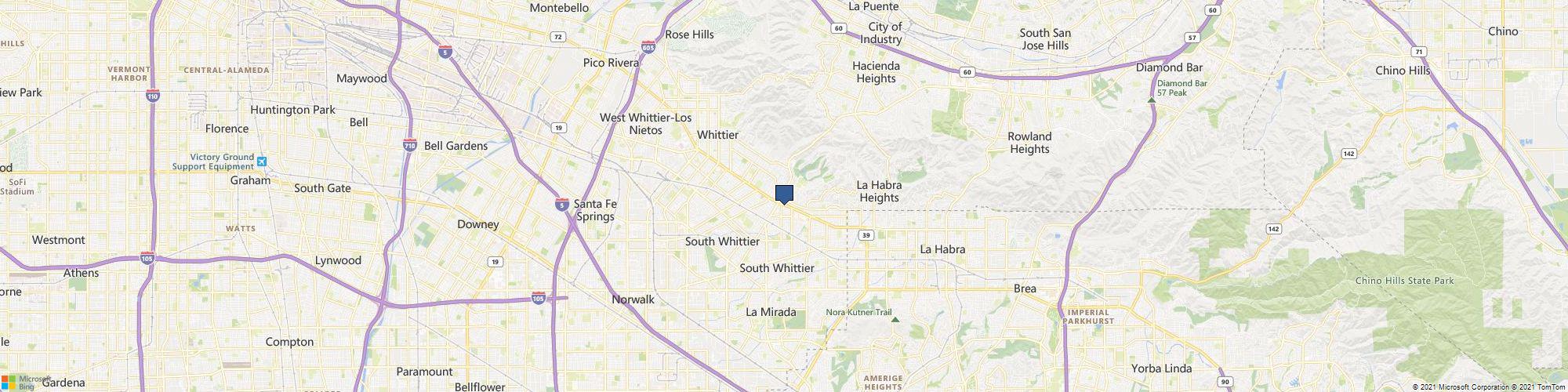 Transhine cover photo