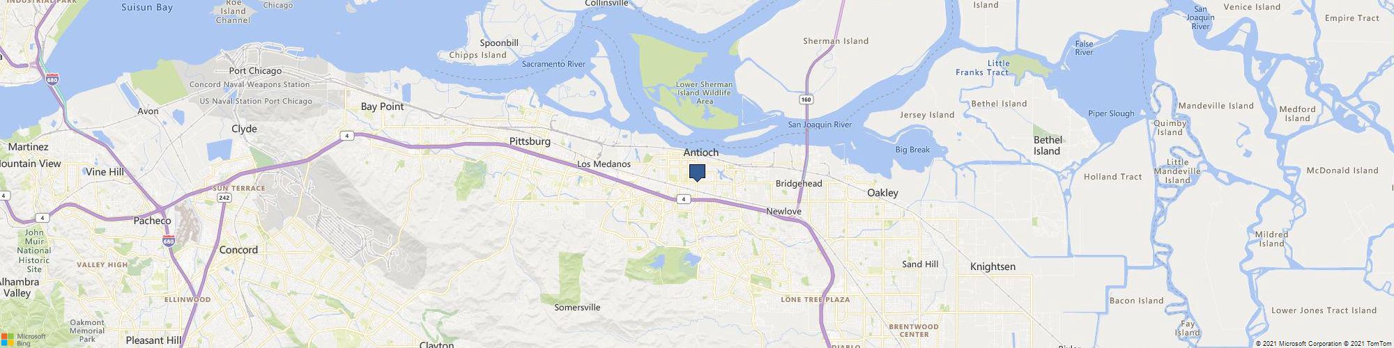 Soto Garden Tree Landscaping cover photo