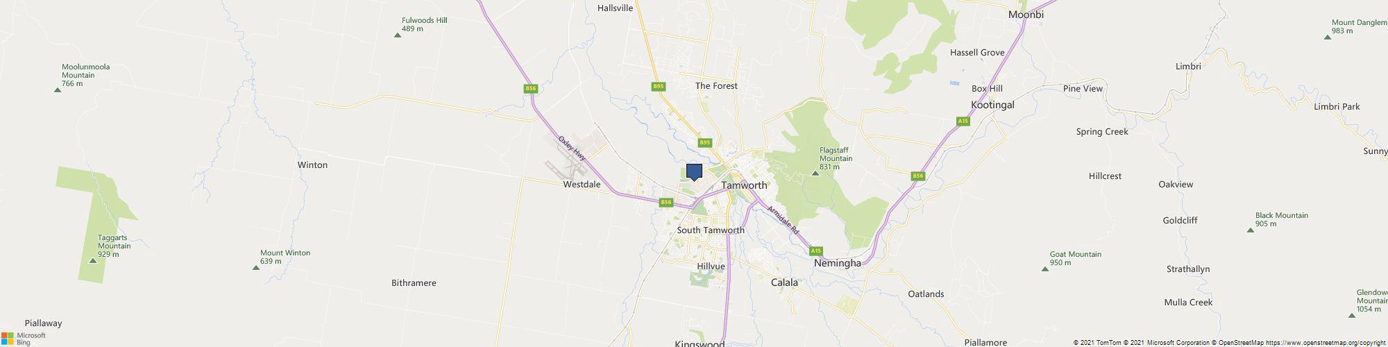 Busy Bees at Tamworth cover photo