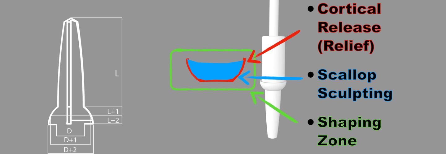 Universal Shapers cover photo