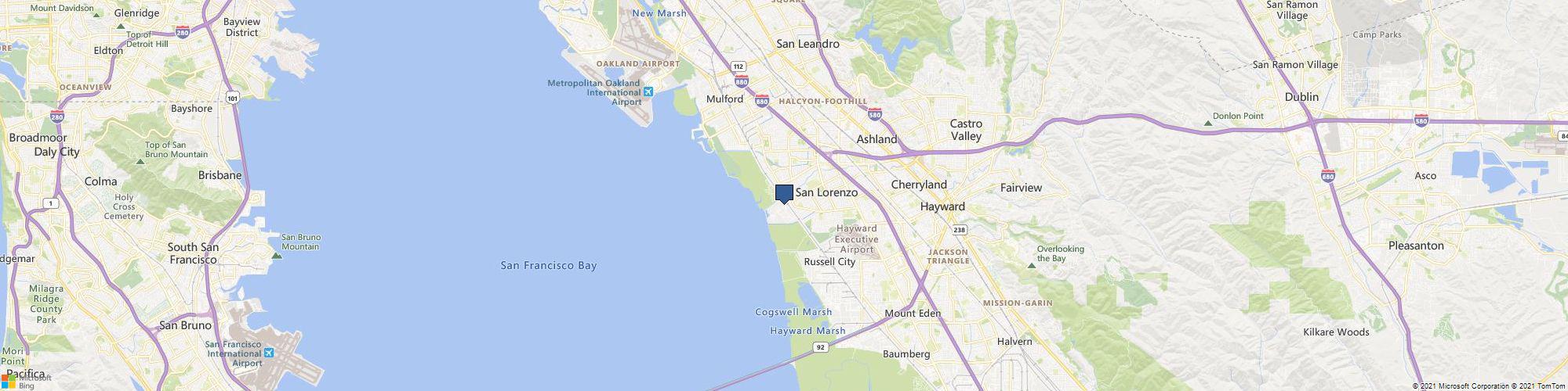 Stone Universe Inc cover photo