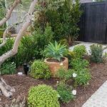 So-Cal Landscape & Design, Inc - photo 7