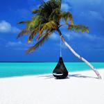 Sonic Charters St. Thomas - photo 6