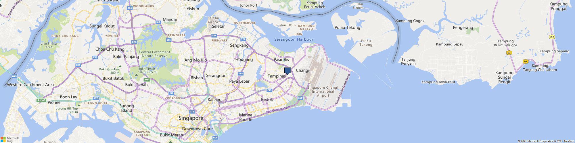 Singarlic cover photo