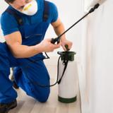 Pest Control Redland Bay - Pest Control in Redland Bay