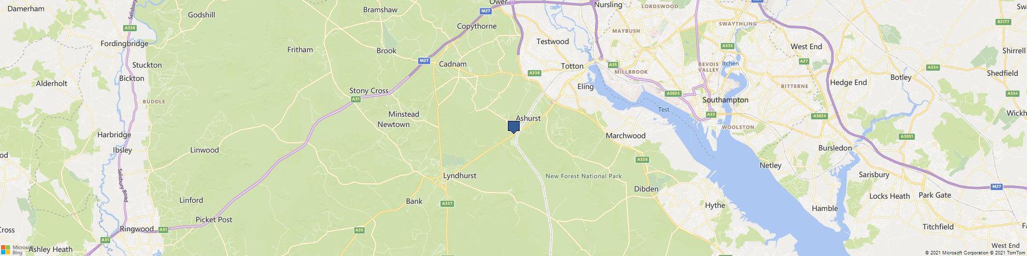 The Forest Inn cover photo