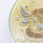 Test my Home Caldwell - photo 5