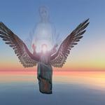 Pillaicenter - photo 4